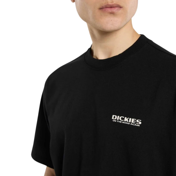 Dickies T-Shirt Burns Black - DK0A87QIBLK1