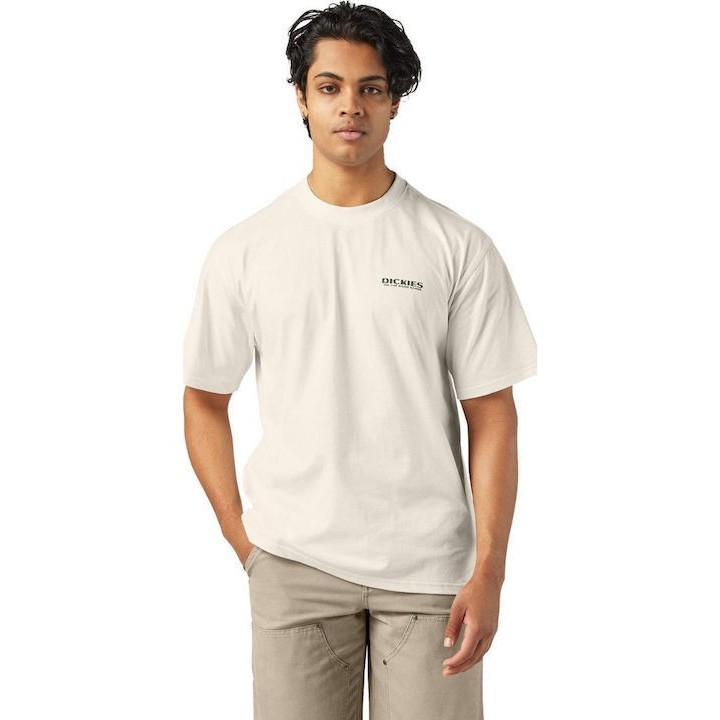 Dickies T-Shirt Burns Egret - DK0A87QIC481