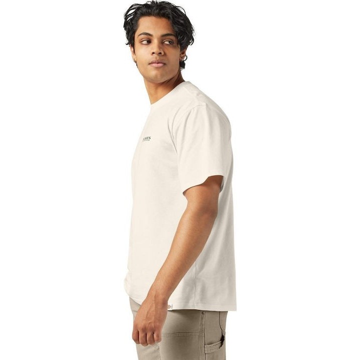 Dickies T-Shirt Burns Egret - DK0A87QIC481