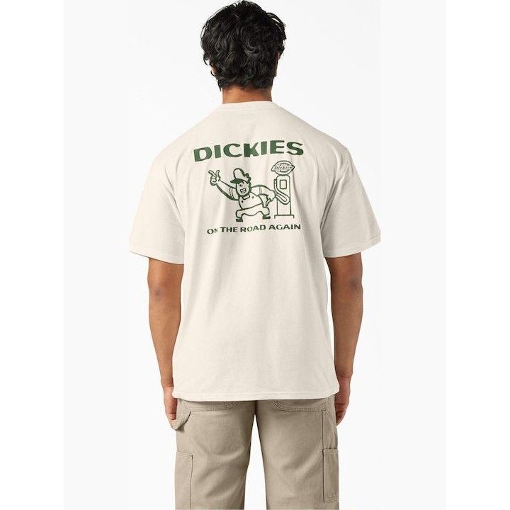 Dickies T-Shirt Burns Egret - DK0A87QIC481