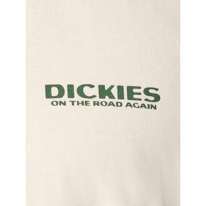 Dickies T-Shirt Burns Egret - DK0A87QIC481