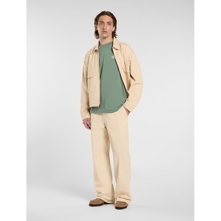 Dickies T-Shirt Summerdale Sea Spray - DK0A4YAIL191
