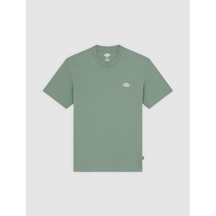 Dickies T-Shirt Summerdale Sea Spray - DK0A4YAIL191