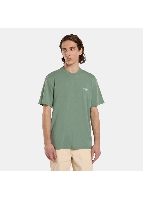 Dickies T-Shirt Summerdale Sea Spray - DK0A4YAIL191
