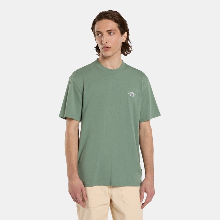 Dickies T-Shirt Summerdale Sea Spray - DK0A4YAIL191