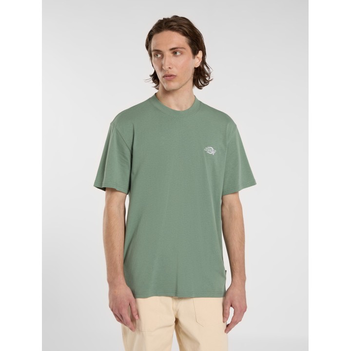 Dickies T-Shirt Summerdale Sea Spray - DK0A4YAIL191