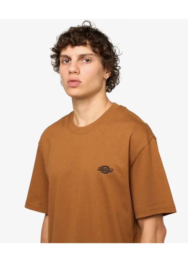 Dickies T-Shirt Summerdale Brown Duck - DK0A4YAI0BD