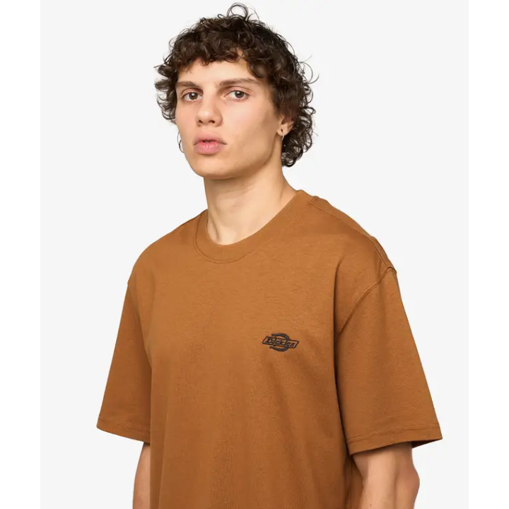 Dickies T-Shirt Summerdale Brown Duck - DK0A4YAI0BD