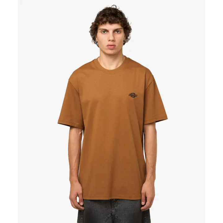 Dickies T-Shirt Summerdale Brown Duck - DK0A4YAI0BD