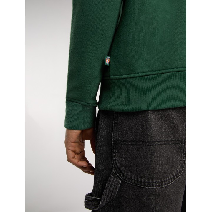 Dickies Quarter Oakport Zip Pine Needle Green - DK0A4XD4PIN1