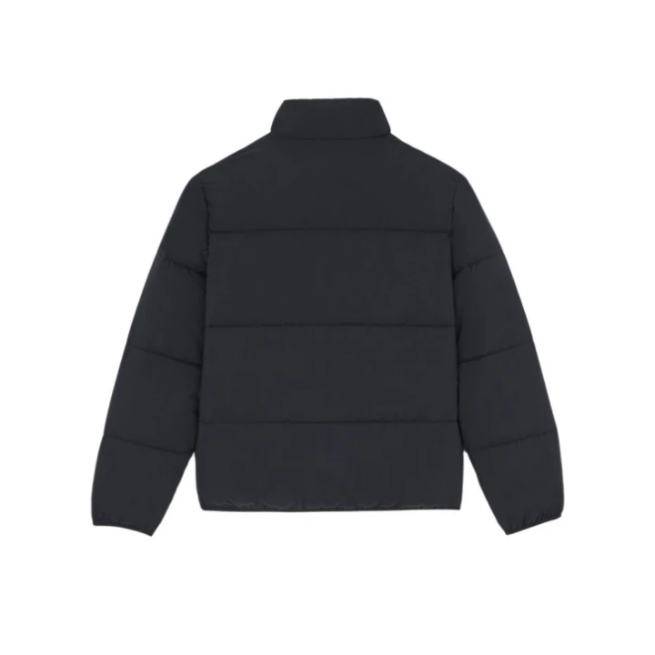 DICKIES PUFFER SUMMERDALE BLACK - DK0A87OGBLK1