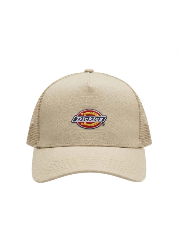 DICKIES HANSTON TRUCKER EUCALYPTUS - DK0A4YV3L441