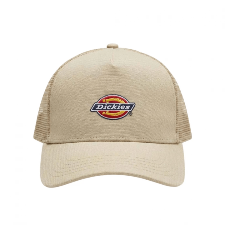 DICKIES HANSTON TRUCKER EUCALYPTUS - DK0A4YV3L441