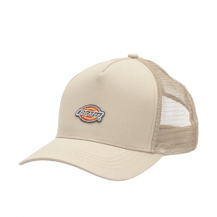 DICKIES HANSTON TRUCKER EUCALYPTUS - DK0A4YV3L441