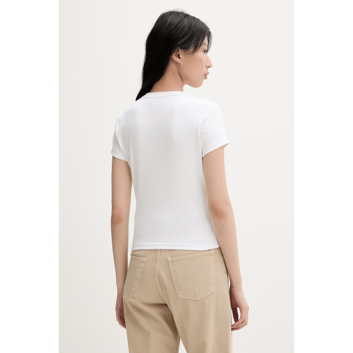 Dickies WELLSVILLE SS TEE W WHITE - DK0A88JT0WH1