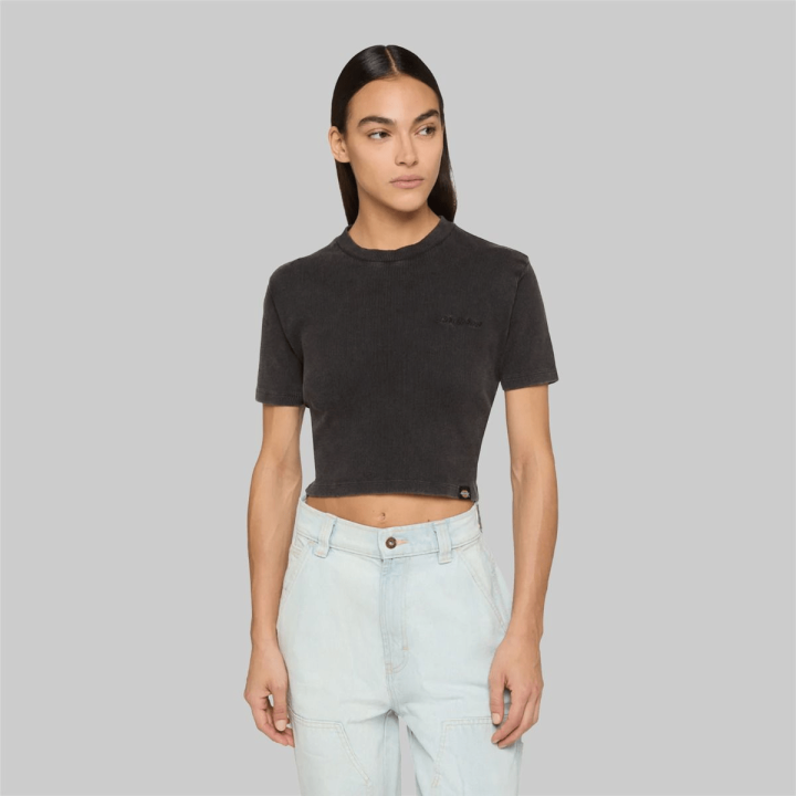 Dickies PLENTYWOOD TEE SS W BLACK - DK0A866FBLK1