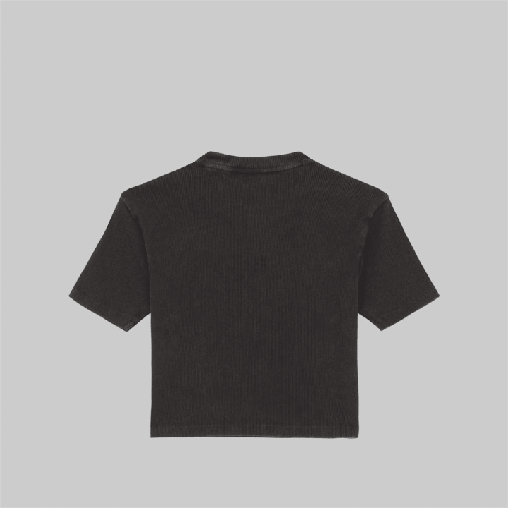 Dickies PLENTYWOOD TEE SS W BLACK - DK0A866FBLK1