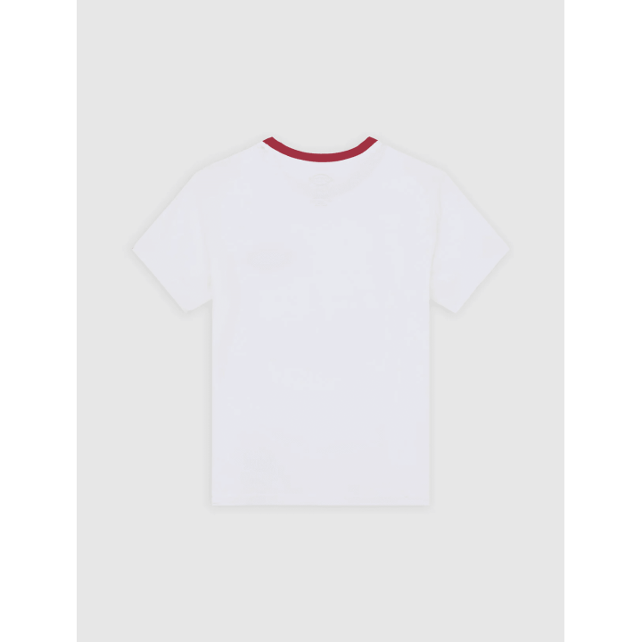 DICKIES PLAINVILLE RINGER TEE W WHITE - DK0A88JRWHX1