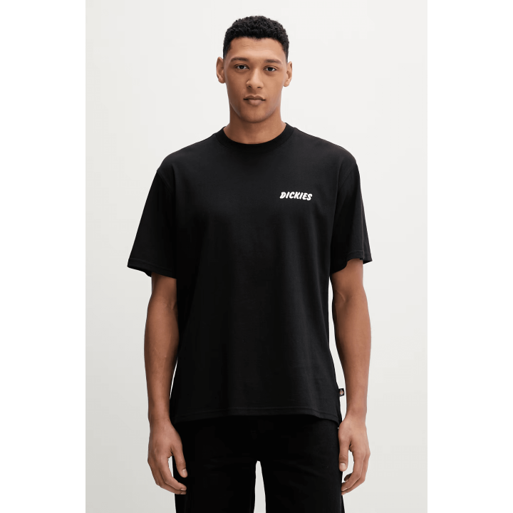 Dickies DRY RIDGE SS TEE BLACK - DK0A8853BLK1