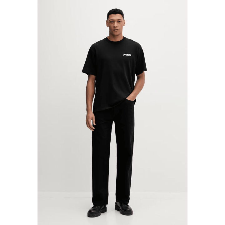Dickies DRY RIDGE SS TEE BLACK - DK0A8853BLK1