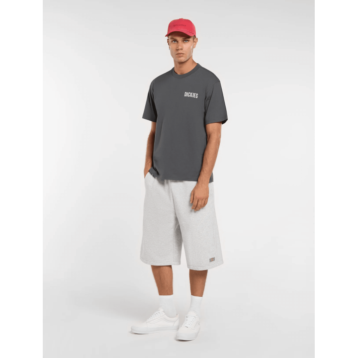 Dickies WOLFHURST SS TEE CHARCOAL GREY - DK0A88QOCH01