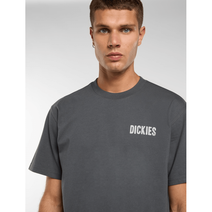Dickies WOLFHURST SS TEE CHARCOAL GREY - DK0A88QOCH01
