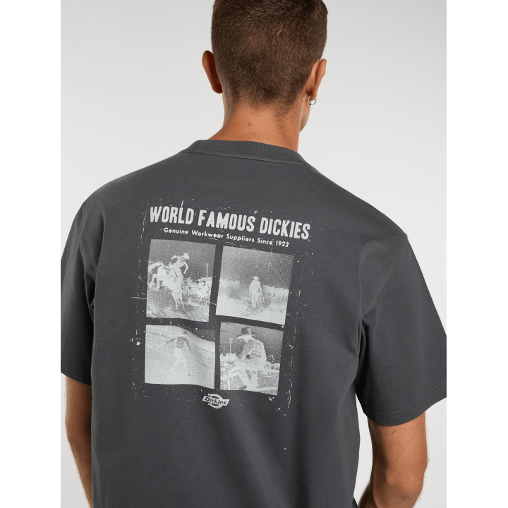 Dickies WOLFHURST SS TEE CHARCOAL GREY - DK0A88QOCH01