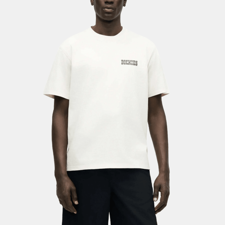 Dickies BUCHTELL SS TEE EGRET - DK0A883BC481