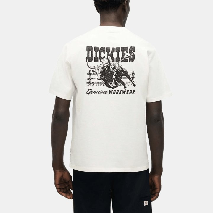 Dickies BUCHTELL SS TEE EGRET - DK0A883BC481