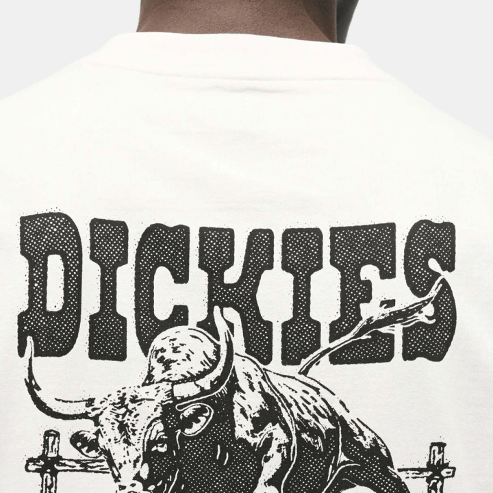 Dickies BUCHTELL SS TEE EGRET - DK0A883BC481