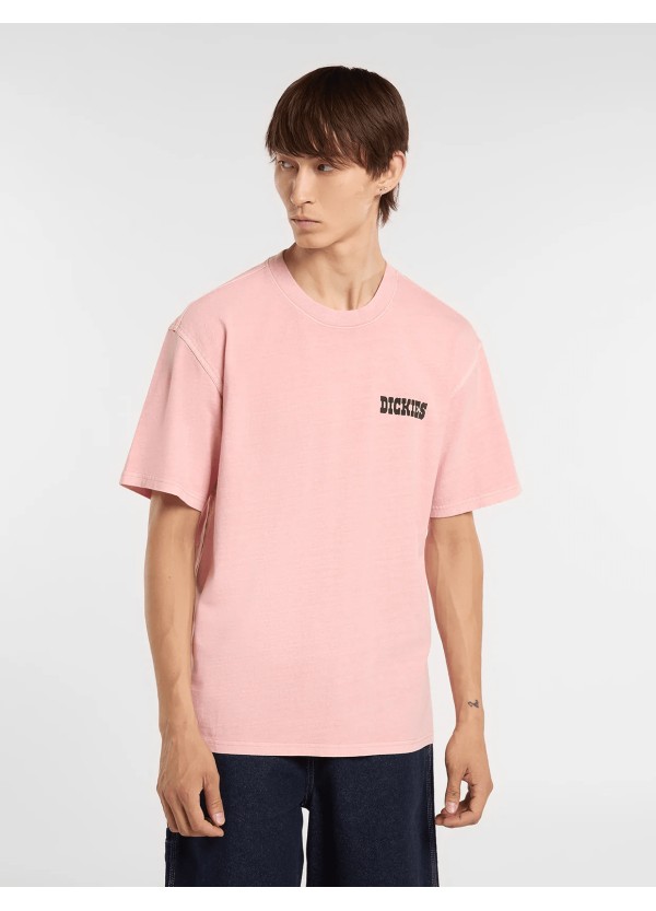 Dickies BUCHTELL SS TEE BRIDAL ROSE - DK0A883BL471