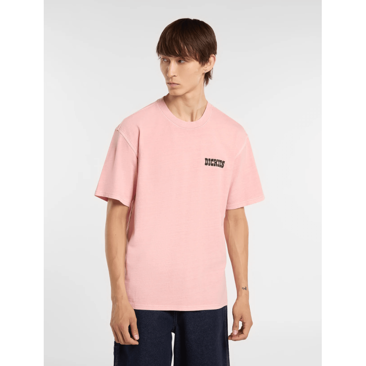 Dickies BUCHTELL SS TEE BRIDAL ROSE - DK0A883BL471