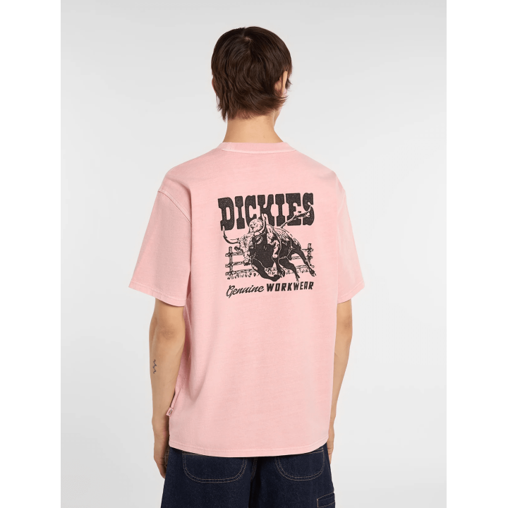 Dickies BUCHTELL SS TEE BRIDAL ROSE - DK0A883BL471