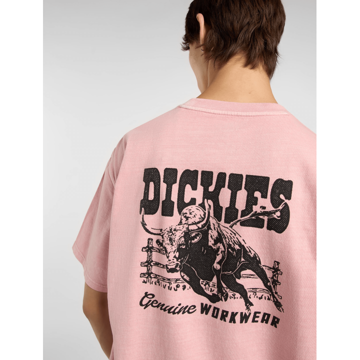 Dickies BUCHTELL SS TEE BRIDAL ROSE - DK0A883BL471