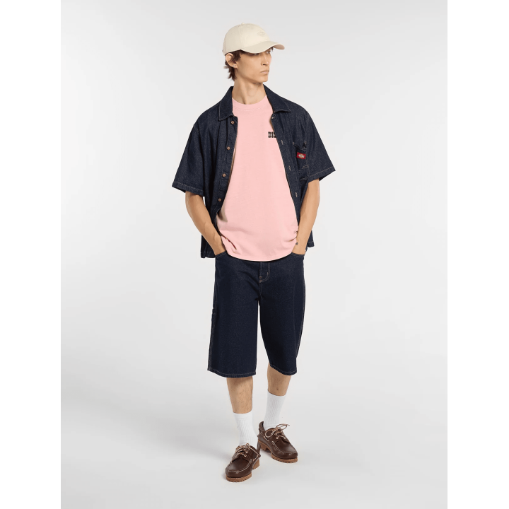Dickies BUCHTELL SS TEE BRIDAL ROSE - DK0A883BL471