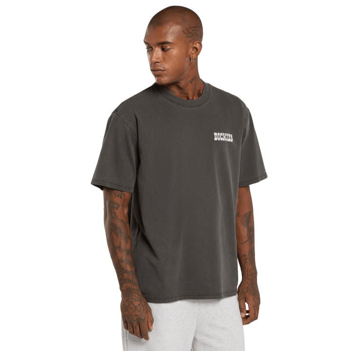 Dickies BUCHTELL SS TEE BLACK - DK0A883BBLK1