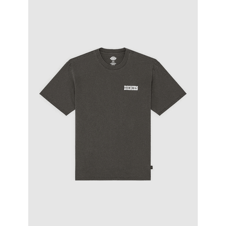 Dickies BUCHTELL SS TEE BLACK - DK0A883BBLK1