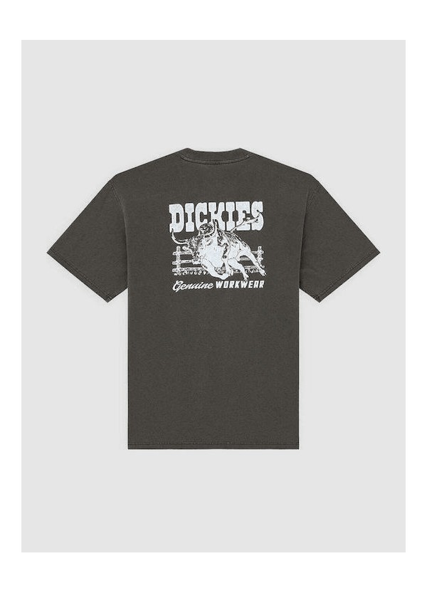 Dickies BUCHTELL SS TEE BLACK - DK0A883BBLK1