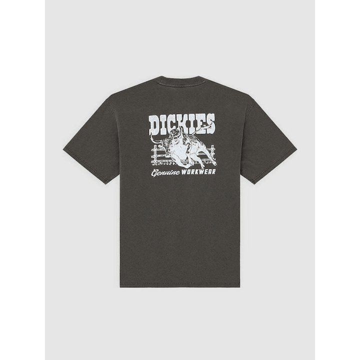 Dickies BUCHTELL SS TEE BLACK - DK0A883BBLK1