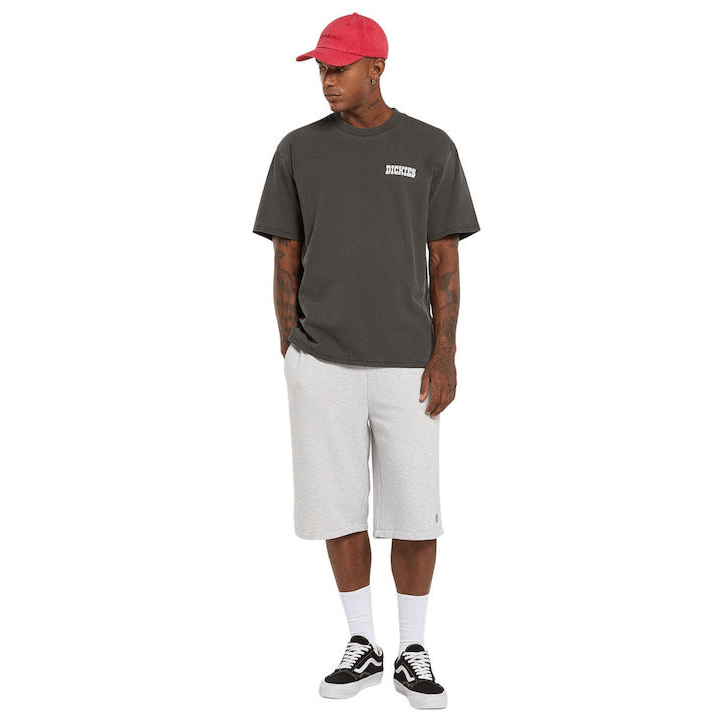 Dickies BUCHTELL SS TEE BLACK - DK0A883BBLK1