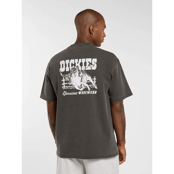 Dickies BUCHTELL SS TEE BLACK - DK0A883BBLK1