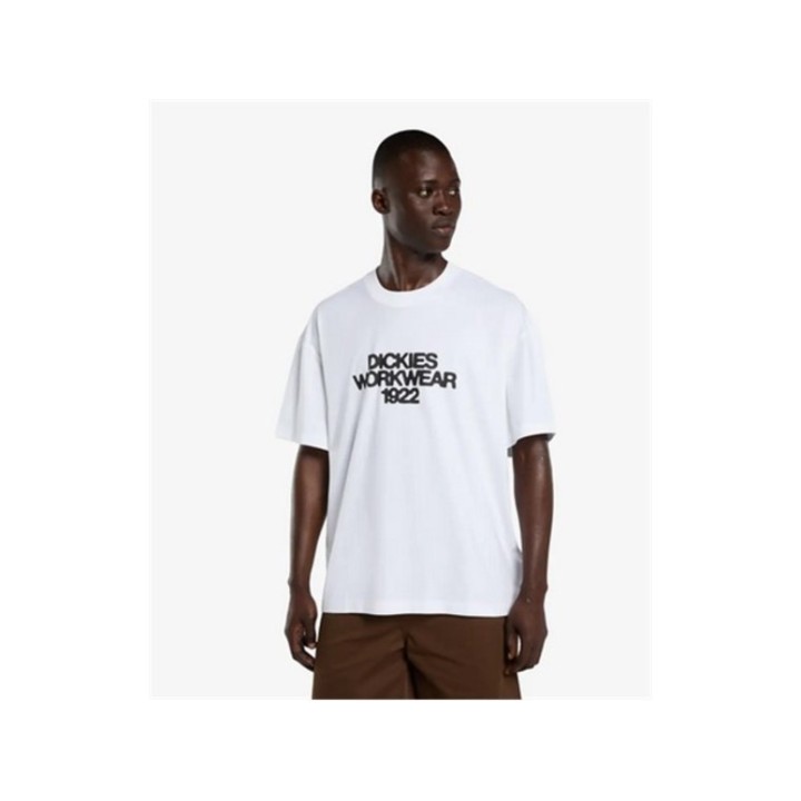 Dickies TORREY SS TEE WHITE - DK0A88890WH1