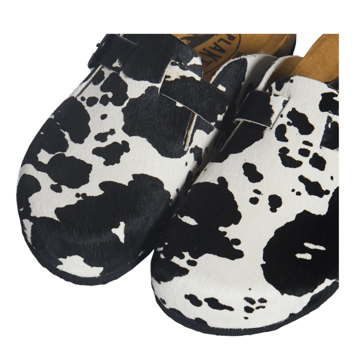 PLAKTON Animal Print Black- 181539