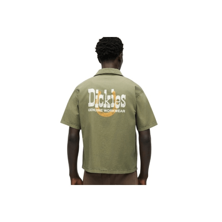 Dickies VERNAL SHIRT - DK0A8808K72