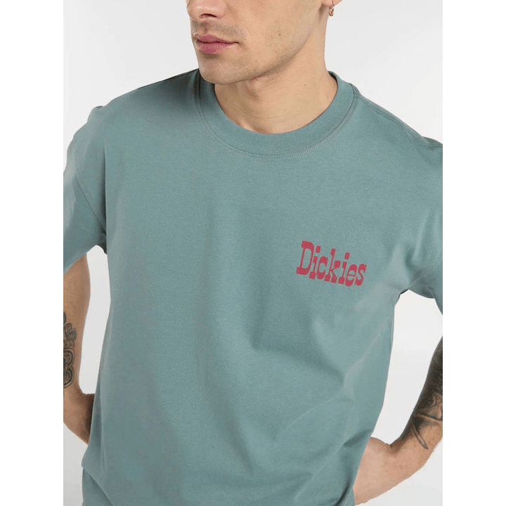 Dickies T-shirt -DK0A88GOL37