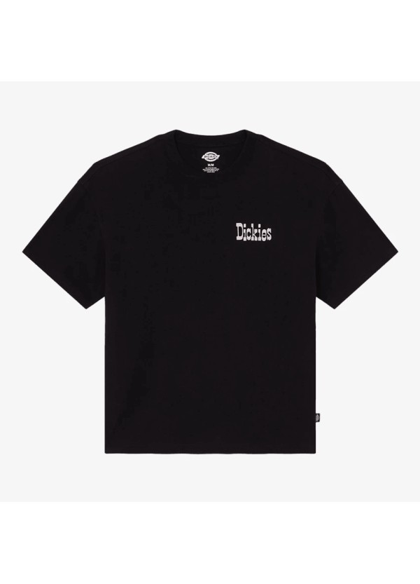 Dickies T-shirt-  DK0A88GOBLK1