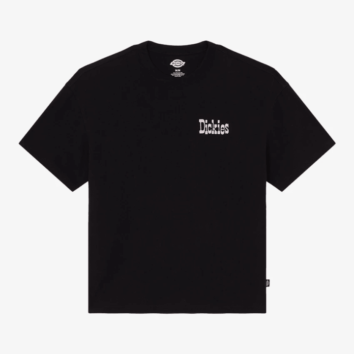 Dickies T-shirt-  DK0A88GOBLK1