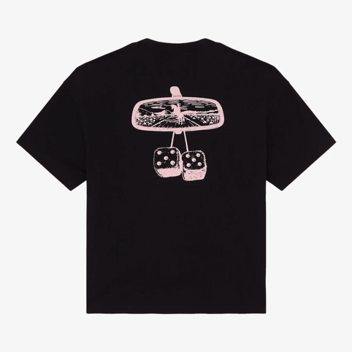 Dickies T-shirt-  DK0A88GOBLK1