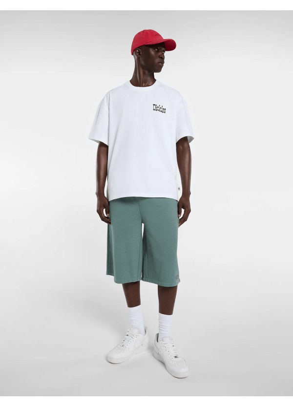 Dickies T-shirt White -  DK0A88GO0WH1