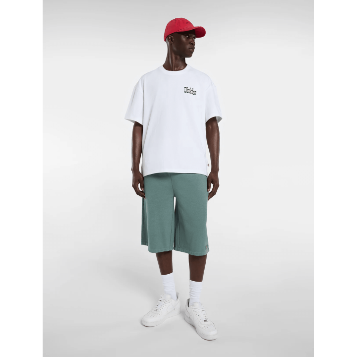 Dickies T-shirt White -  DK0A88GO0WH1